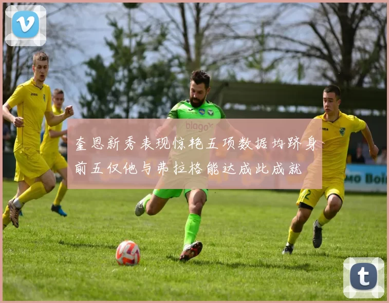 奎恩新秀表现惊艳五项数据均跻身前五仅他与弗拉格能达成此成就