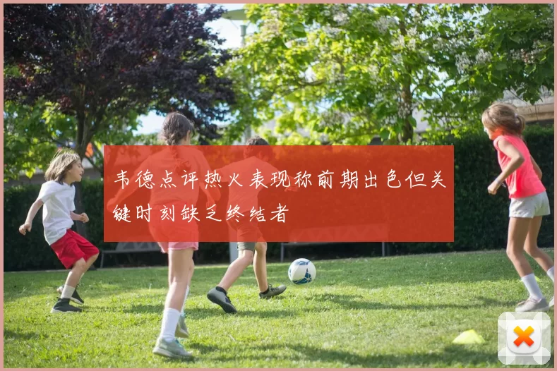 韦德点评热火表现称前期出色但关键时刻缺乏终结者